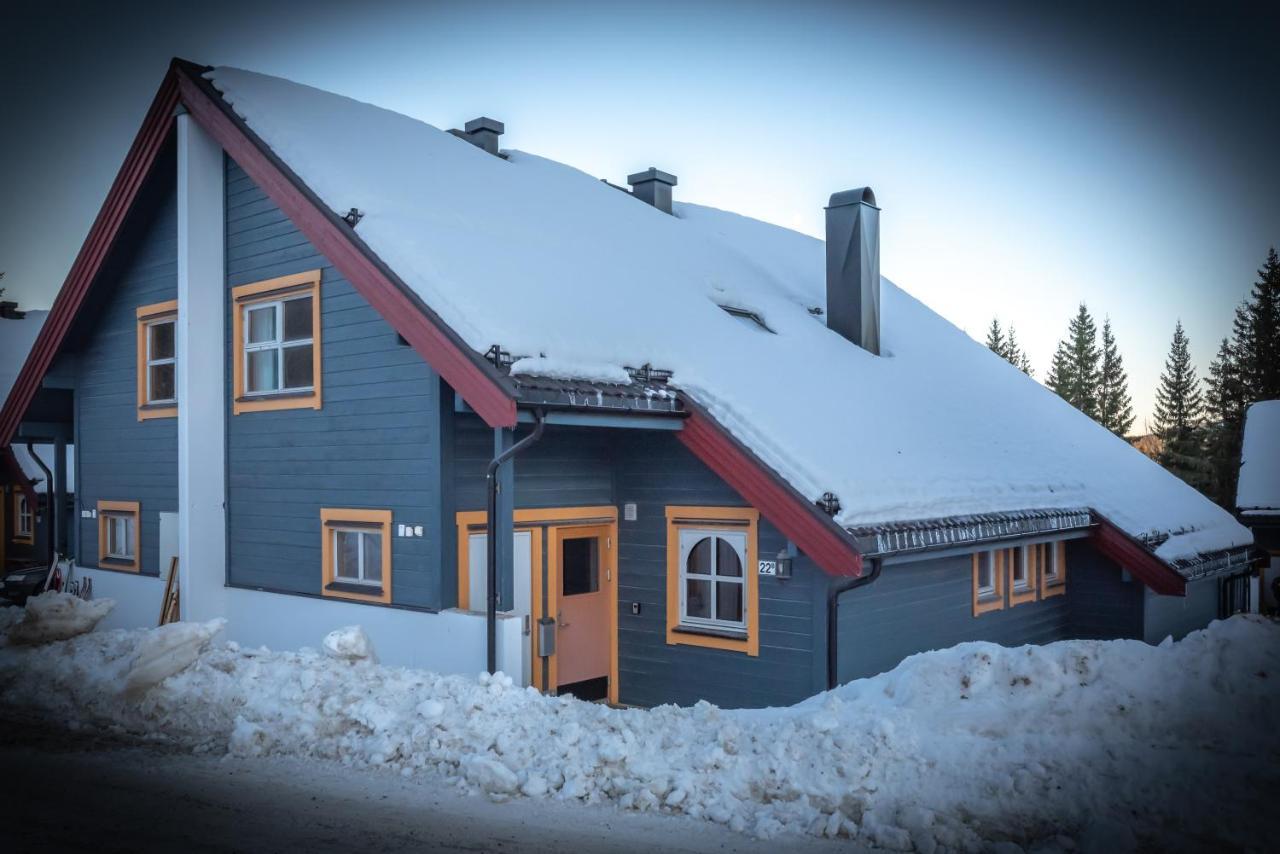 Appartement Bakkebyvegen 22B à Trysil Extérieur photo